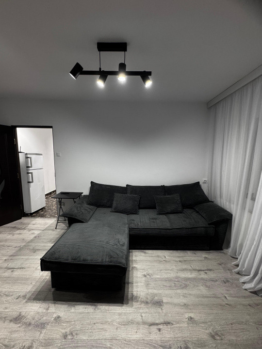 Apartament cu o camera, de vanzare, Timisoara, zona: Calea Sagului