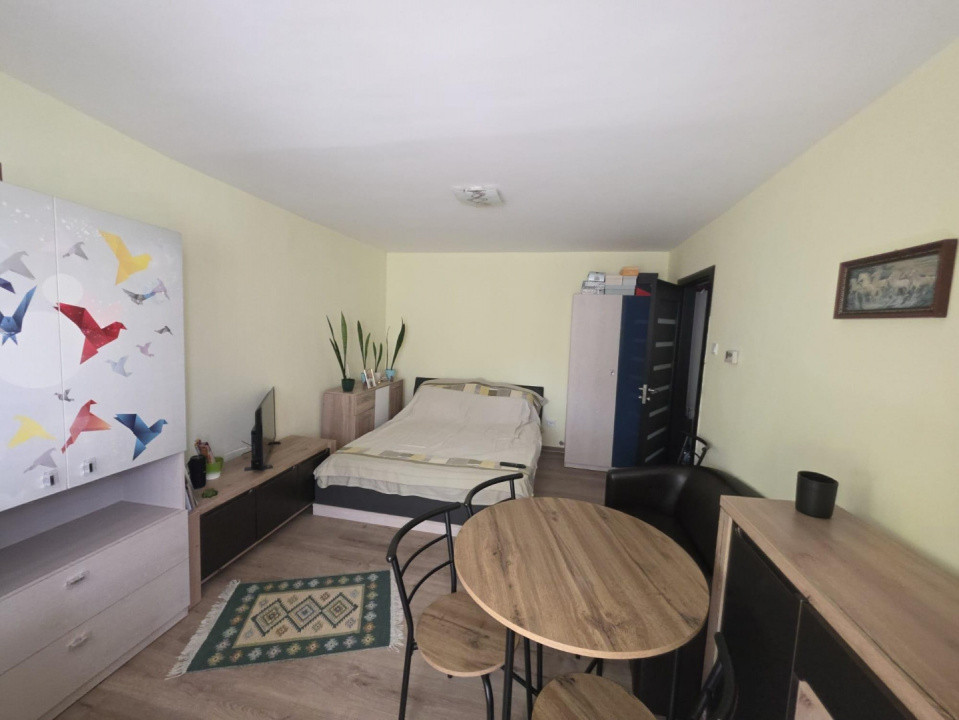 Apartament cu o camera, de vanzare, Timisoara 