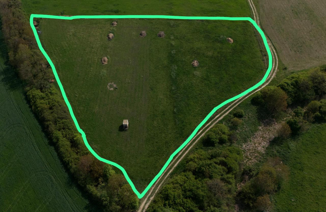 Teren de vanzare, 18.600 MP, Albina - Mosnita - Buzias