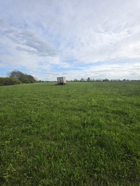 Teren de vanzare, 18.600 MP, Albina - Mosnita - Buzias