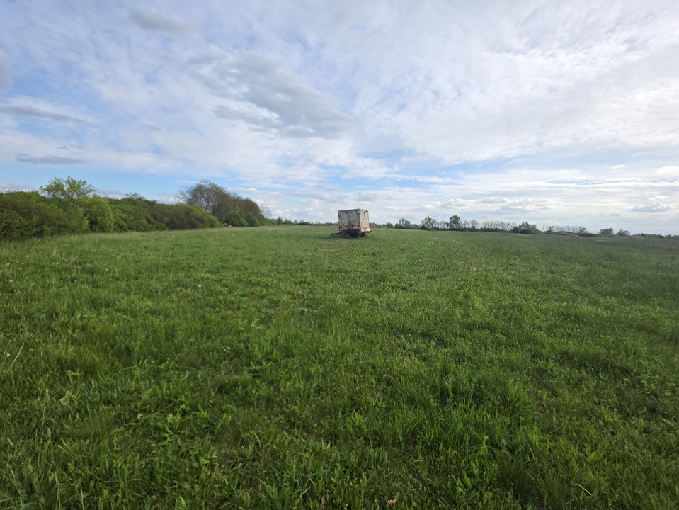 Teren de vanzare, 18.600 MP, Albina - Mosnita - Buzias