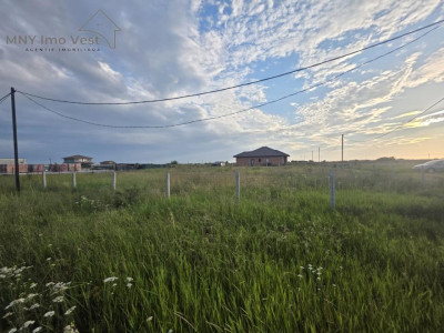 Teren intravilan, de vanzare SACALAZ 