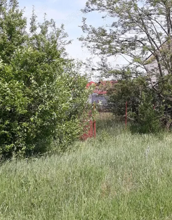 De vanzare, teren intravilan curti constructii in Timisoara, Cartierul Plopi