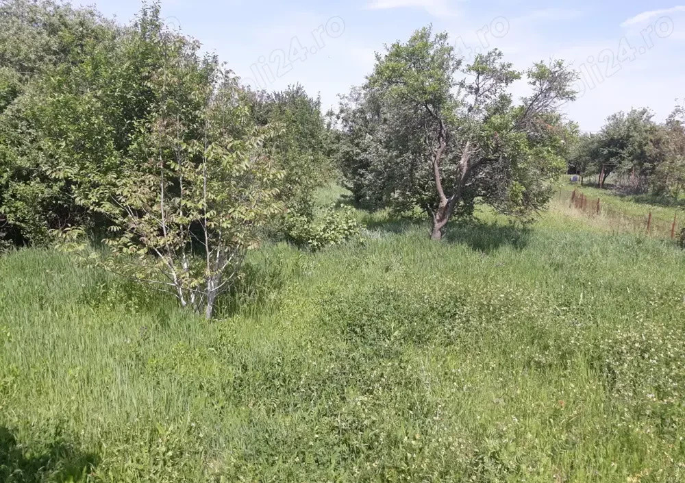 De vanzare, teren intravilan curti constructii in Timisoara, Cartierul Plopi