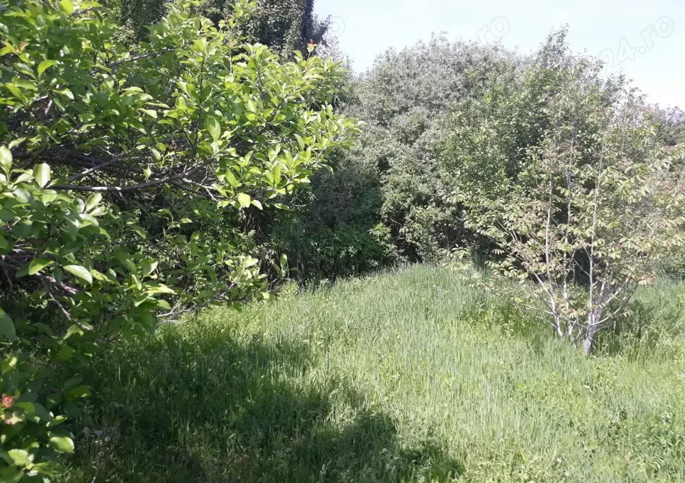 De vanzare, teren intravilan curti constructii in Timisoara, Cartierul Plopi